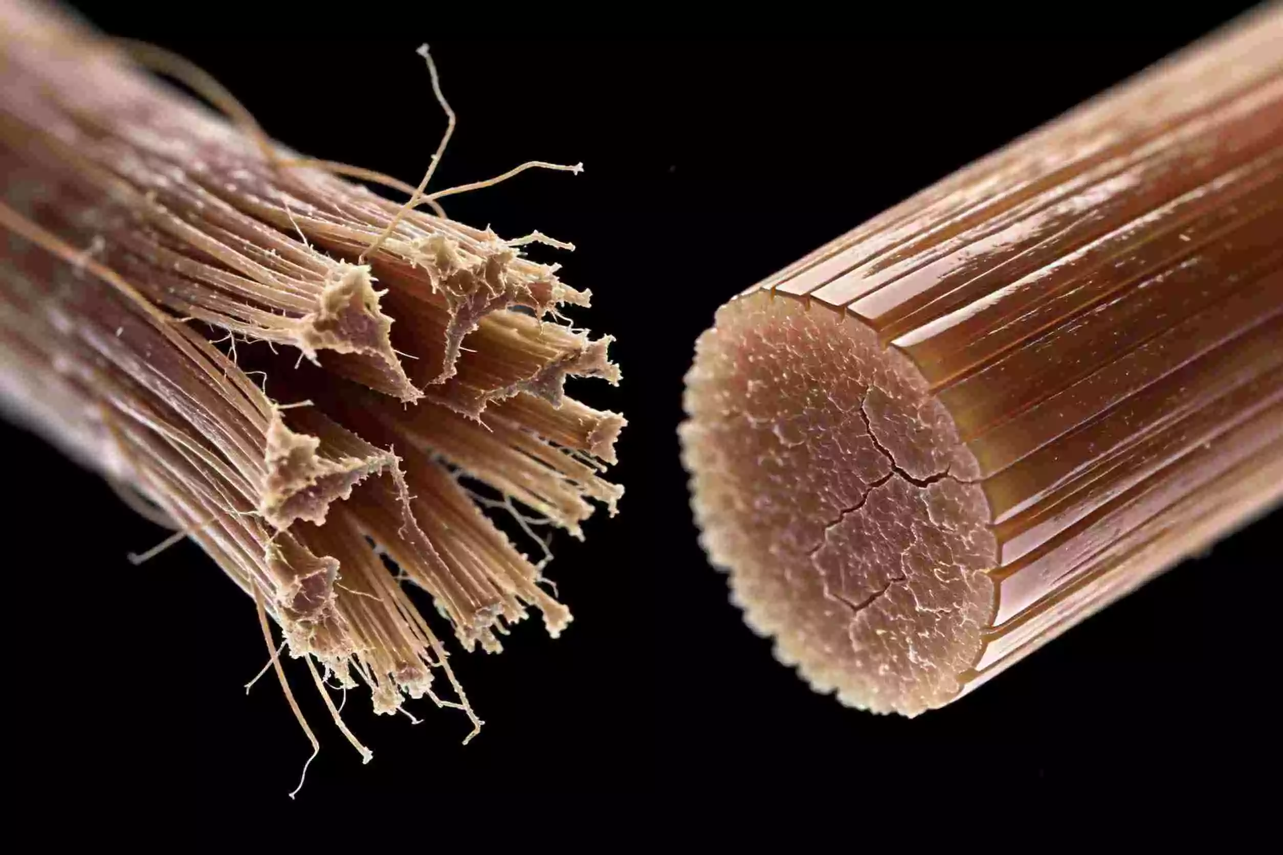 Split ends vs healthy ends under magnification—frayed tips compared to smoother strands