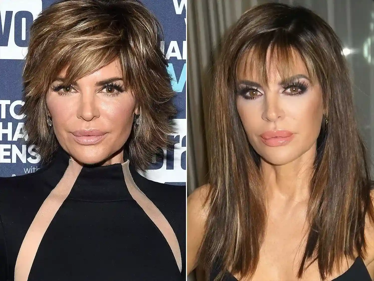 lisa rinna with long hair