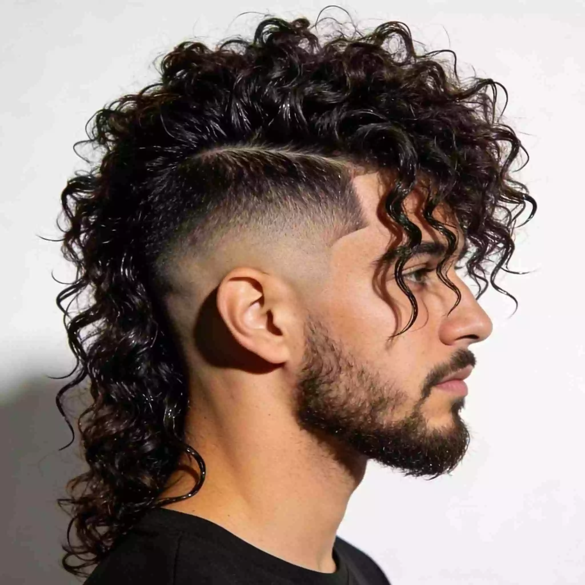 Men’s curly hair — curly undercut with short sides and longer defined top curls
