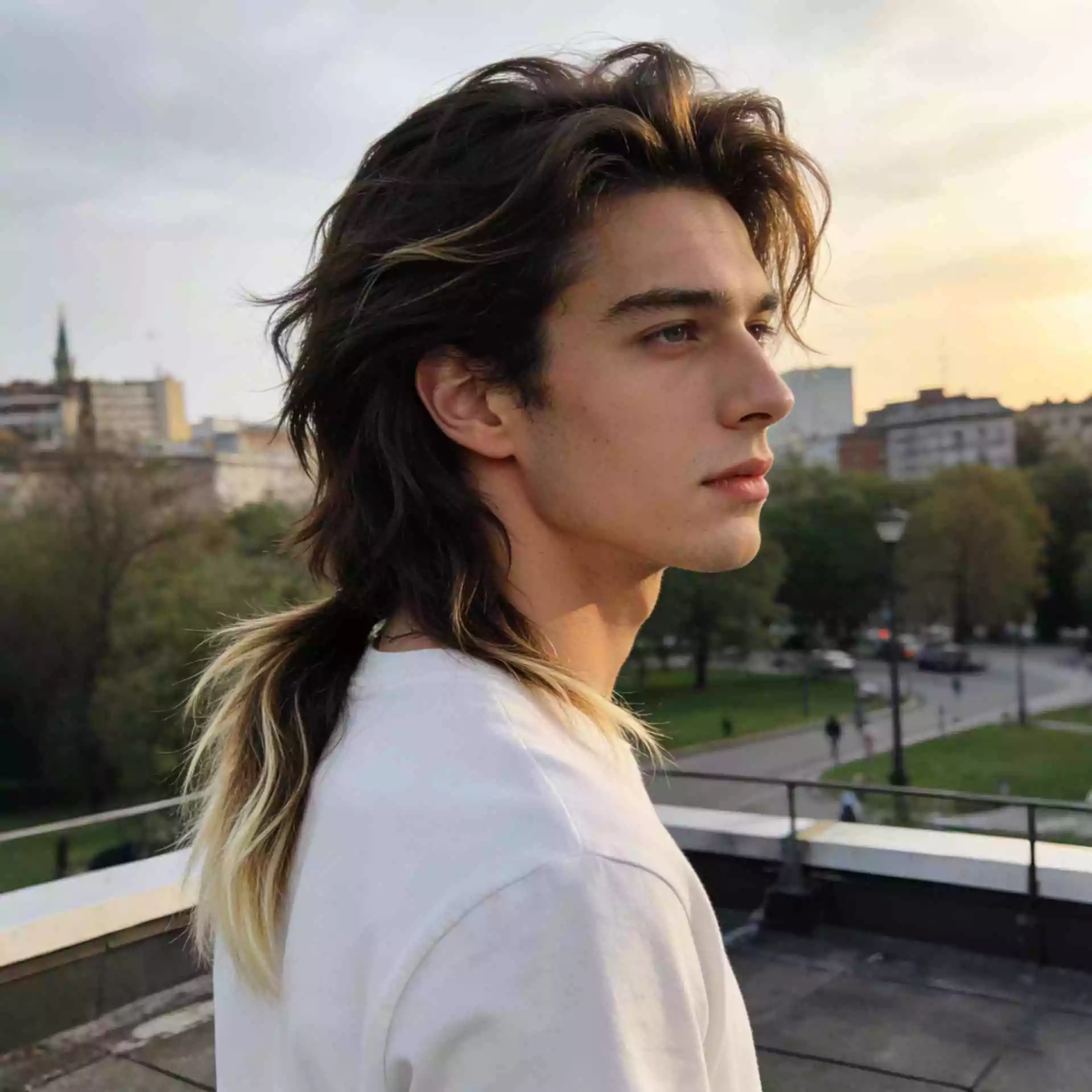 Mullet wolf cut male — subtle longer back with smooth transition and soft tail